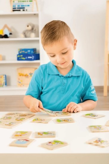 משחק חשיבה מעץ לגיל 3 ומעלה