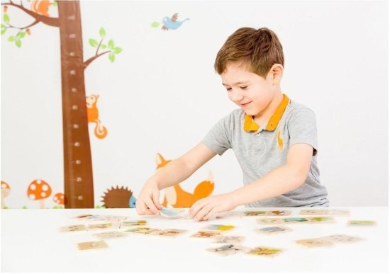 קופסת משחק הכרת בעלי החיים מעץ